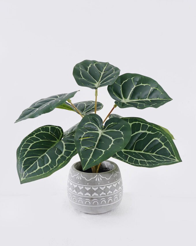 Artificial Table Plants 35*35*30cm Anthurium crystallinum in cement pot GS-03326059 2026Jun 3,000+ sqm showroom with thousands of artificial flowers, plants & trees ready for global sourcing.