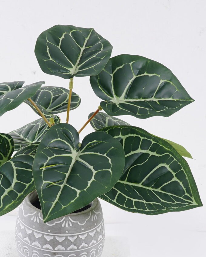 Artificial Table Plants 35*35*30cm Anthurium crystallinum in cement pot GS-03326059 2026Jun 3,000+ sqm showroom with thousands of artificial flowers, plants & trees ready for global sourcing.