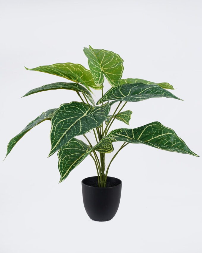 Artificial Table Plants 50*50*50cm Anthurium in PP pot GS-03326075 2026Jun 3,000+ sqm showroom with thousands of artificial flowers, plants & trees ready for global sourcing.