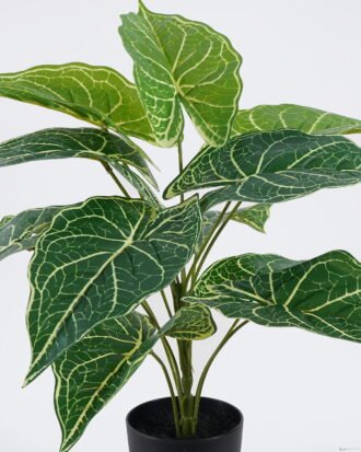 Artificial Table Plants 50*50*50cm Anthurium in PP pot GS-03326075 2026Jun 3,000+ sqm showroom with thousands of artificial flowers, plants & trees ready for global sourcing. Artificial Table Plants 50*50*50cm Anthurium in PP pot GS-03326075 2026Jun 3,000+ sqm showroom with thousands of artificial flowers, plants & trees ready for global sourcing.