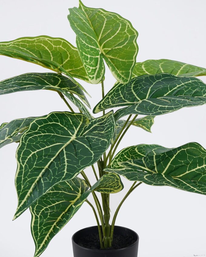 Artificial Table Plants 50*50*50cm Anthurium in PP pot GS-03326075 2026Jun 3,000+ sqm showroom with thousands of artificial flowers, plants & trees ready for global sourcing.