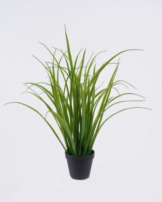 Artificial Table Plants 38*30*52cm Aquatic plant  in PP pot/49 lvs GS-39126017 2026Jul 3,000+ sqm showroom with thousands of artificial flowers, plants & trees ready for global sourcing.