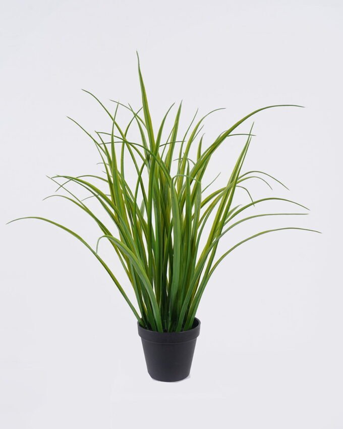 Artificial Table Plants 38*30*52cm Aquatic plant  in PP pot/49 lvs GS-39126017 2026Jul 3,000+ sqm showroom with thousands of artificial flowers, plants & trees ready for global sourcing.