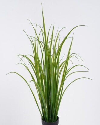 Artificial Table Plants 38*30*52cm Aquatic plant  in PP pot/49 lvs GS-39126017 2026Jul 3,000+ sqm showroom with thousands of artificial flowers, plants & trees ready for global sourcing.