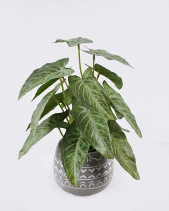 Artificial Table Plants 22*22*30cm Arrowhead Vine in Cement pot GS-03326127 2026Jun 3,000+ sqm showroom with thousands of artificial flowers, plants & trees ready for global sourcing. Artificial Table Plants 22*22*30cm Arrowhead Vine in Cement pot GS-03326127 2026Jun 3,000+ sqm showroom with thousands of artificial flowers, plants & trees ready for global sourcing.