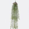 Artificial Table Plants Asparagaceae 7 Hang vine GS-05526015_1 Artificial Table Plants 15*6*112cm Asparagaceae *7 Hang vine GS-05526015 2026Jun 3,000+ sqm showroom with thousands of artificial flowers, plants & trees ready for global sourcing.