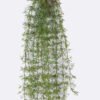 Artificial Table Plants Asparagaceae 7 Hang vine GS-05526015_3 Artificial Table Plants 15*6*112cm Asparagaceae *7 Hang vine GS-05526015 2026Jun 3,000+ sqm showroom with thousands of artificial flowers, plants & trees ready for global sourcing.