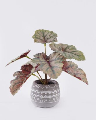 Artificial Table Plants 30*30*30cm Begonia rex in Cement pot GS-03326058 2026Jun 3,000+ sqm showroom with thousands of artificial flowers, plants & trees ready for global sourcing. Artificial Table Plants 30*30*30cm Begonia rex in Cement pot GS-03326058 2026Jun 3,000+ sqm showroom with thousands of artificial flowers, plants & trees ready for global sourcing.