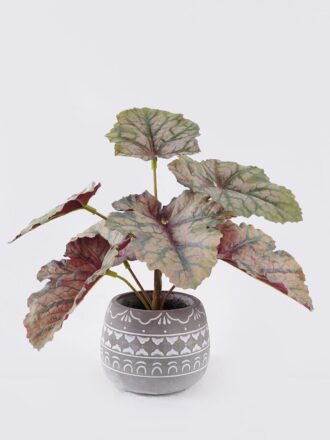 Artificial Table Plants 45*45*52cm Anthurium crystallinum in cement pot GS-03326057 2026Jun 3,000+ sqm showroom with thousands of artificial flowers, plants & trees ready for global sourcing.
