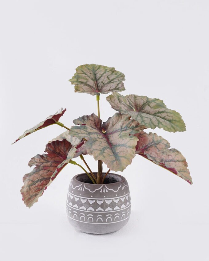 Artificial Table Plants 30*30*30cm  Begonia rex in Cement pot GS-03326058 2026Jun 3,000+ sqm showroom with thousands of artificial flowers, plants & trees ready for global sourcing.
