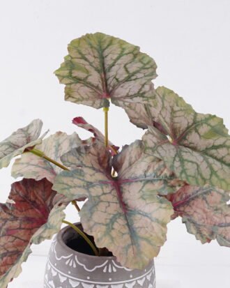 Artificial Table Plants 30*30*30cm Begonia rex in Cement pot GS-03326058 2026Jun 3,000+ sqm showroom with thousands of artificial flowers, plants & trees ready for global sourcing. Artificial Table Plants 30*30*30cm Begonia rex in Cement pot GS-03326058 2026Jun 3,000+ sqm showroom with thousands of artificial flowers, plants & trees ready for global sourcing.