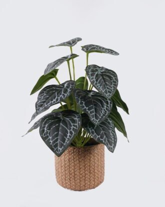 Artificial Table Plants 22*22*32cm Black Crystal Anthurium in cement pot GS-03326096 2026Jun 3,000+ sqm showroom with thousands of artificial flowers, plants & trees ready for global sourcing. Artificial Table Plants 22*22*32cm Black Crystal Anthurium in cement pot GS-03326096 2026Jun 3,000+ sqm showroom with thousands of artificial flowers, plants & trees ready for global sourcing.