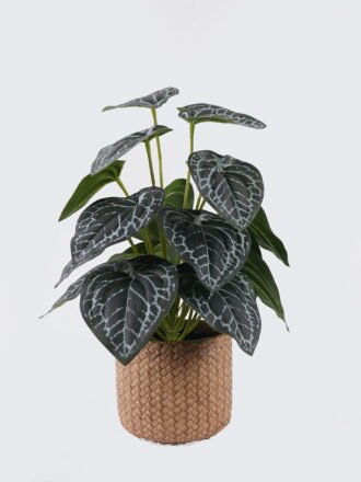 Artificial Table Plants 22*22*32cm  Breezy Begonia leaf in cement pot GS-03326097 2026Jun 3,000+ sqm showroom with thousands of artificial flowers, plants & trees ready for global sourcing.