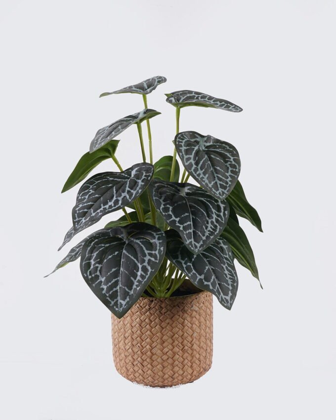Artificial Table Plants 22*22*32cm  Black Crystal Anthurium in cement pot GS-03326096 2026Jun 3,000+ sqm showroom with thousands of artificial flowers, plants & trees ready for global sourcing.