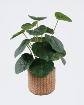 Artificial Table Plants 22*22*32cm Breezy Begonia leaf in cement pot GS-03326097 2026Jun 3,000+ sqm showroom with thousands of artificial flowers, plants & trees ready for global sourcing. Artificial Table Plants 22*22*32cm Breezy Begonia leaf in cement pot GS-03326097 2026Jun 3,000+ sqm showroom with thousands of artificial flowers, plants & trees ready for global sourcing.