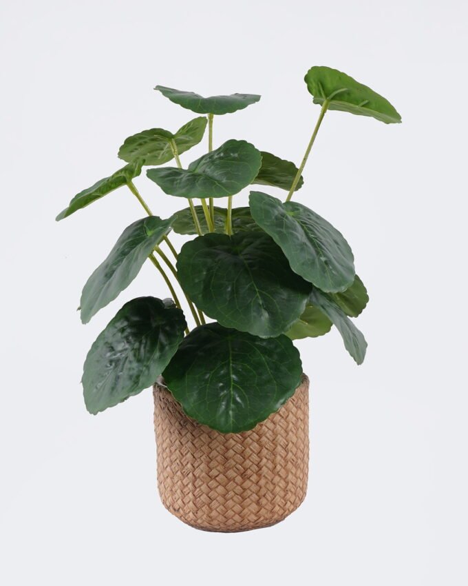 Artificial Table Plants 22*22*32cm  Breezy Begonia leaf in cement pot GS-03326097 2026Jun 3,000+ sqm showroom with thousands of artificial flowers, plants & trees ready for global sourcing.