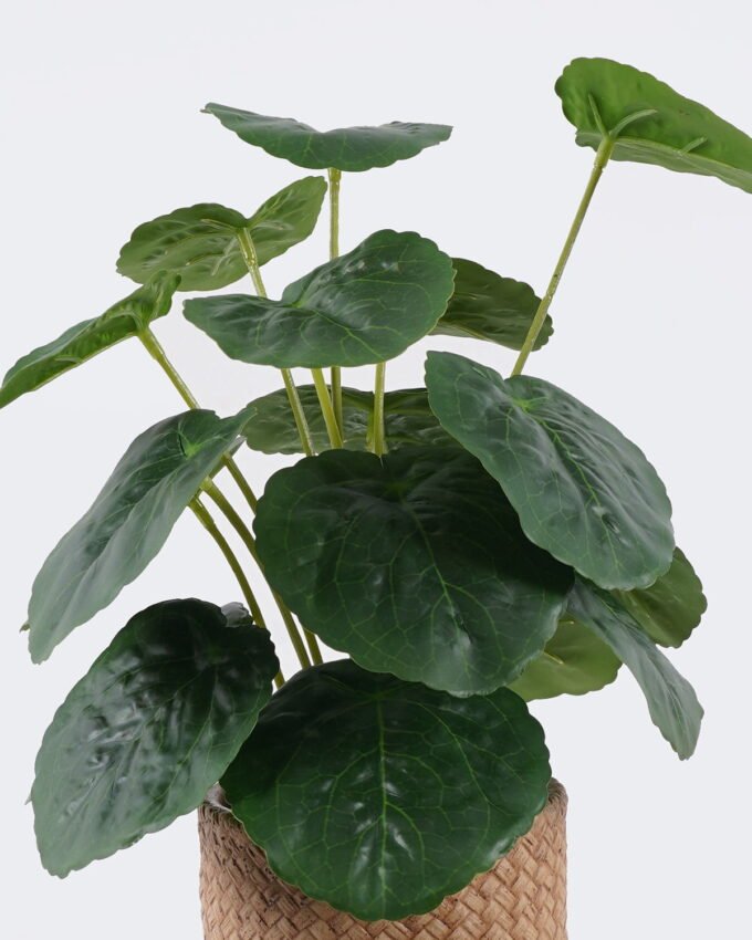 Artificial Table Plants 22*22*32cm  Breezy Begonia leaf in cement pot GS-03326097 2026Jun 3,000+ sqm showroom with thousands of artificial flowers, plants & trees ready for global sourcing.