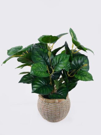 Artificial Table Plants 32*32*32cm Pilea cadierei in cement pot GS-03326063 2026Jun 3,000+ sqm showroom with thousands of artificial flowers, plants & trees ready for global sourcing.