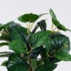 Artificial Table Plants Calathea in cement pot GS-03326062_4 Artificial Table Plants 32*32*32cm Calathea in cement pot GS-03326062 2026Jun 3,000+ sqm showroom with thousands of artificial flowers, plants & trees ready for global sourcing.