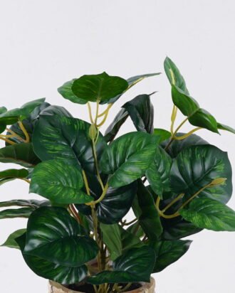 Artificial Table Plants 32*32*32cm Calathea in cement pot GS-03326062 2026Jun 3,000+ sqm showroom with thousands of artificial flowers, plants & trees ready for global sourcing. Artificial Table Plants 32*32*32cm Calathea in cement pot GS-03326062 2026Jun 3,000+ sqm showroom with thousands of artificial flowers, plants & trees ready for global sourcing.