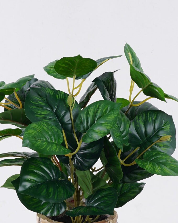 Artificial Table Plants Calathea in cement pot GS-03326062_4 Artificial Table Plants 32*32*32cm Calathea in cement pot GS-03326062 2026Jun 3,000+ sqm showroom with thousands of artificial flowers, plants & trees ready for global sourcing.