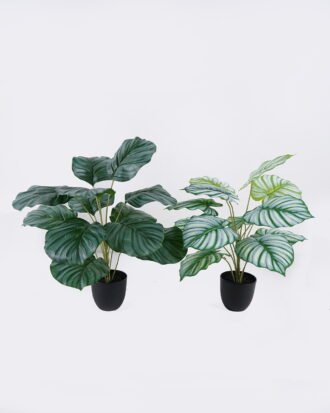Artificial Table Plants 55*55*60cm Calathea orbifolia in PP pot GS-03326071 2026Jun 3,000+ sqm showroom with thousands of artificial flowers, plants & trees ready for global sourcing. Artificial Table Plants 55*55*60cm Calathea orbifolia in PP pot GS-03326071 2026Jun 3,000+ sqm showroom with thousands of artificial flowers, plants & trees ready for global sourcing.
