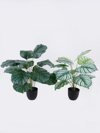 Artificial Table Plants 44*44*50cm Monstera in PP pot GS-03326072 2026Jun 3,000+ sqm showroom with thousands of artificial flowers, plants & trees ready for global sourcing.