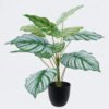 Artificial Table Plants Calathea orbifolia in PP pot GS-03326071_3 Artificial Table Plants 55*55*60cm Calathea orbifolia in PP pot GS-03326071 2026Jun 3,000+ sqm showroom with thousands of artificial flowers, plants & trees ready for global sourcing.