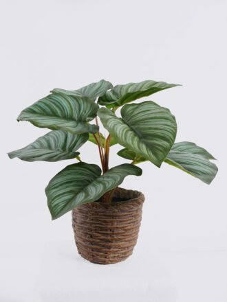 Artificial Table Plants 35*35*28cm Monstera in cement pot GS-03326053 2026Jun 3,000+ sqm showroom with thousands of artificial flowers, plants & trees ready for global sourcing.