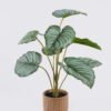 Artificial Table Plants Calathea orbifolia in cement pot GS-03326056_5 Artificial Table Plants 45*45*52cm Calathea orbifolia in cement pot GS-03326056 2026Jun 3,000+ sqm showroom with thousands of artificial flowers, plants & trees ready for global sourcing.