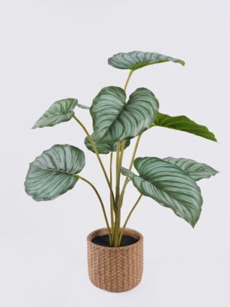 Artificial Table Plants 30*30*52cm Alocasia in Cement pot GS-03326055 2026Jun 3,000+ sqm showroom with thousands of artificial flowers, plants & trees ready for global sourcing.