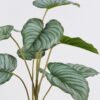 Artificial Table Plants Calathea orbifolia in cement pot GS-03326056_6 Artificial Table Plants 45*45*52cm Calathea orbifolia in cement pot GS-03326056 2026Jun 3,000+ sqm showroom with thousands of artificial flowers, plants & trees ready for global sourcing.