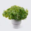 Artificial Table Plants 25*25*26cm Clover in Cement pot GS-03326088 2026Jun 3,000+ sqm showroom with thousands of artificial flowers, plants & trees ready for global sourcing.