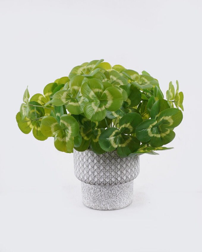 Artificial Table Plants 25*25*26cm Clover in Cement pot GS-03326088 2026Jun 3,000+ sqm showroom with thousands of artificial flowers, plants & trees ready for global sourcing.
