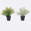 Artificial Table Plants Cyatheaceae in pp pot GS-05526013_2 Artificial Table Plants 12*10*26cm Cyatheaceae in pp pot GS-05526013 2026Jun 3,000+ sqm showroom with thousands of artificial flowers, plants & trees ready for global sourcing.
