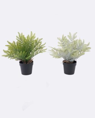 Artificial Table Plants 12*10*26cm Cyatheaceae in pp pot GS-05526013 2026Jun 3,000+ sqm showroom with thousands of artificial flowers, plants & trees ready for global sourcing. Artificial Table Plants 12*10*26cm Cyatheaceae in pp pot GS-05526013 2026Jun 3,000+ sqm showroom with thousands of artificial flowers, plants & trees ready for global sourcing.