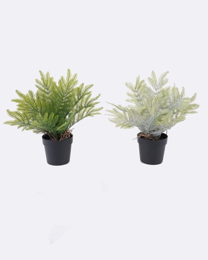Artificial Table Plants 12*10*26cm Cyatheaceae in pp pot GS-05526013 2026Jun 3,000+ sqm showroom with thousands of artificial flowers, plants & trees ready for global sourcing.