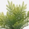 Artificial Table Plants Cyatheaceae in pp pot GS-05526013_3 Artificial Table Plants 12*10*26cm Cyatheaceae in pp pot GS-05526013 2026Jun 3,000+ sqm showroom with thousands of artificial flowers, plants & trees ready for global sourcing.