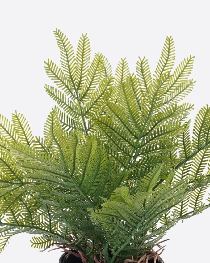 Artificial Table Plants 12*10*26cm Cyatheaceae in pp pot GS-05526013 2026Jun 3,000+ sqm showroom with thousands of artificial flowers, plants & trees ready for global sourcing.