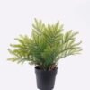 Artificial Table Plants Cyatheaceae in pp pot GS-05526013_4 Artificial Table Plants 12*10*26cm Cyatheaceae in pp pot GS-05526013 2026Jun 3,000+ sqm showroom with thousands of artificial flowers, plants & trees ready for global sourcing.