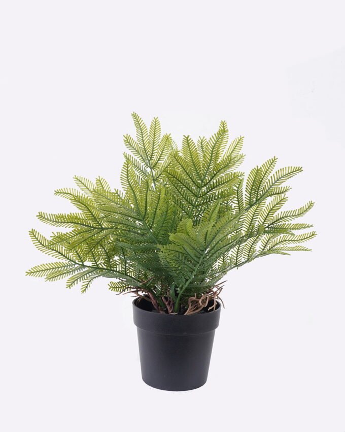 Artificial Table Plants Cyatheaceae in pp pot GS-05526013_4 Artificial Table Plants 12*10*26cm Cyatheaceae in pp pot GS-05526013 2026Jun 3,000+ sqm showroom with thousands of artificial flowers, plants & trees ready for global sourcing.