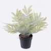 Artificial Table Plants Cyatheaceae in pp pot GS-05526013_5 Artificial Table Plants 12*10*26cm Cyatheaceae in pp pot GS-05526013 2026Jun 3,000+ sqm showroom with thousands of artificial flowers, plants & trees ready for global sourcing.