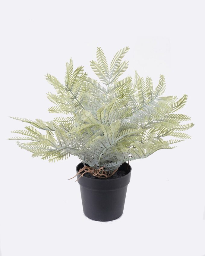 Artificial Table Plants Cyatheaceae in pp pot GS-05526013_5 Artificial Table Plants 12*10*26cm Cyatheaceae in pp pot GS-05526013 2026Jun 3,000+ sqm showroom with thousands of artificial flowers, plants & trees ready for global sourcing.