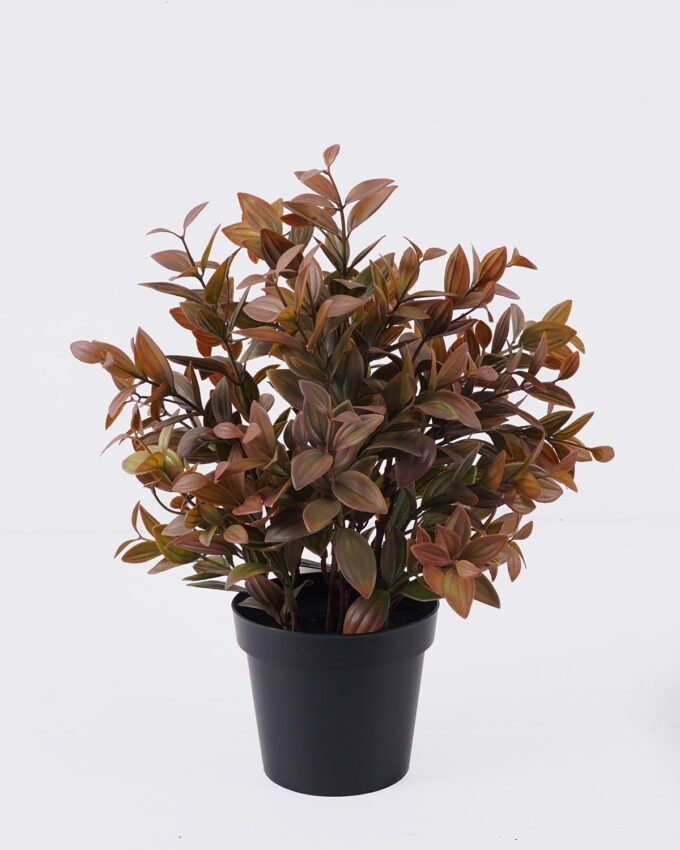 Artificial Table Plants Diamond Grass in PP pot GS-03326046_4 Artificial Table Plants 37*37*37cm Diamond Grass in PP pot GS-03326046 2026Jun 3,000+ sqm showroom with thousands of artificial flowers, plants & trees ready for global sourcing.