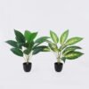Artificial Table Plants Dieffenbachia in PP pot GS-03326070_2 Artificial Table Plants 55*55*60cm Dieffenbachia in PP pot GS-03326070 2026Jun 3,000+ sqm showroom with thousands of artificial flowers, plants & trees ready for global sourcing.