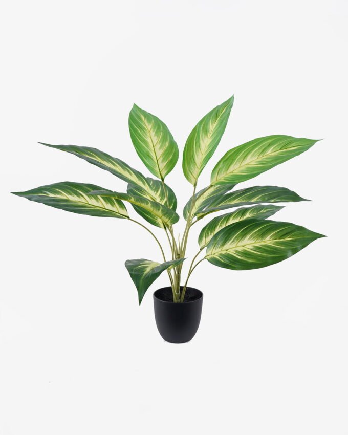 Artificial Table Plants 55*55*60cm Dieffenbachia in PP pot GS-03326070 2026Jun 3,000+ sqm showroom with thousands of artificial flowers, plants & trees ready for global sourcing.