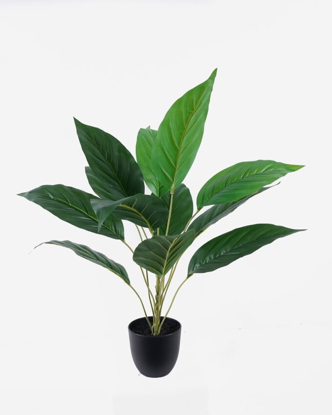 Artificial Table Plants Dieffenbachia in PP pot GS-03326070_4 Artificial Table Plants 55*55*60cm Dieffenbachia in PP pot GS-03326070 2026Jun 3,000+ sqm showroom with thousands of artificial flowers, plants & trees ready for global sourcing.