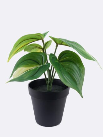 Artificial Table Plants 23*21*30cm Marantaceae in PP pot/6 Lvs GS-84626003 2026SEP 3,000+ sqm showroom with thousands of artificial flowers, plants & trees ready for global sourcing.