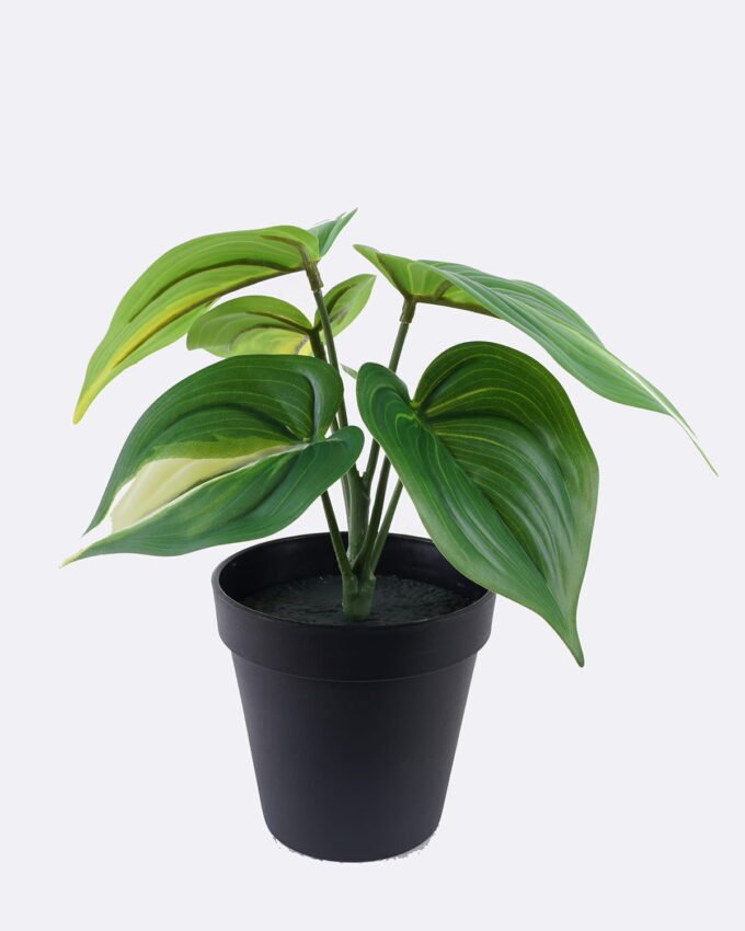 Artificial Table Plants 25*25*25cm Epipremnum aureum in PP pot/6 Lvs GS-84626002 2026SEP 3,000+ sqm showroom with thousands of artificial flowers, plants & trees ready for global sourcing.