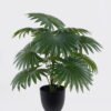 Artificial Table Plants Fan Palm in PP pot GS-03326074_1 Artificial Table Plants 40*40*44cm Fan Palm in PP pot GS-03326074 2026Jun 3,000+ sqm showroom with thousands of artificial flowers, plants & trees ready for global sourcing.